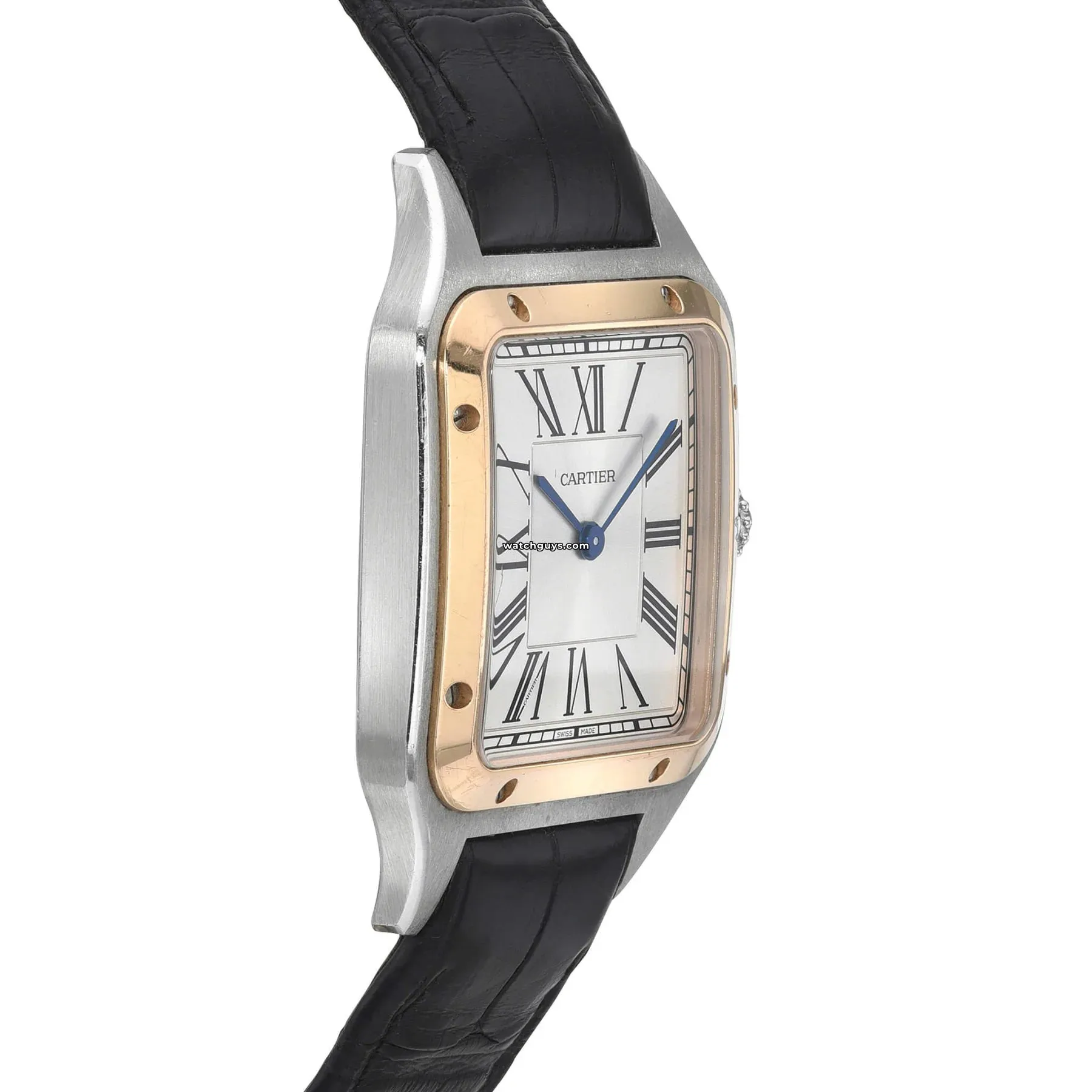 Cartier Santos Dumont Large W2SA0011