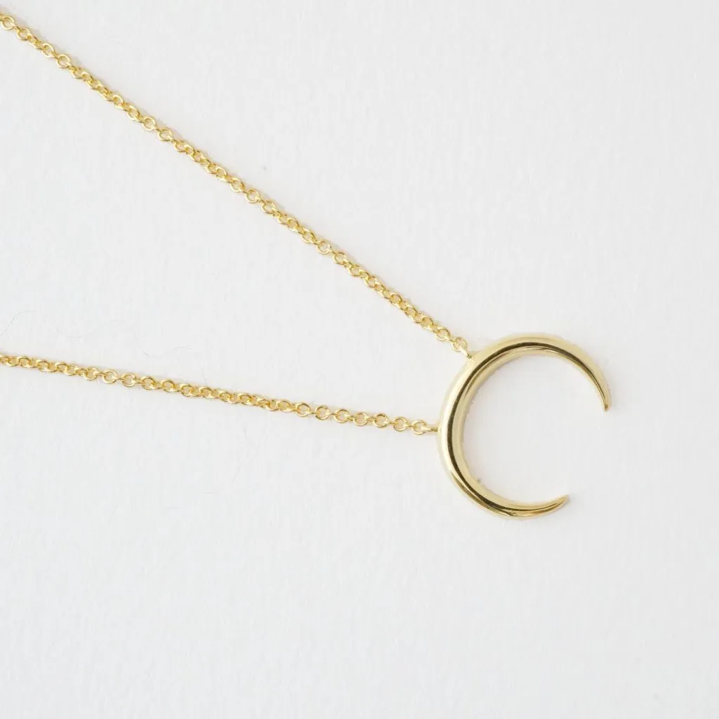 Crescent Horn Necklace