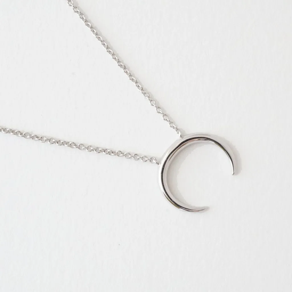 Crescent Horn Necklace