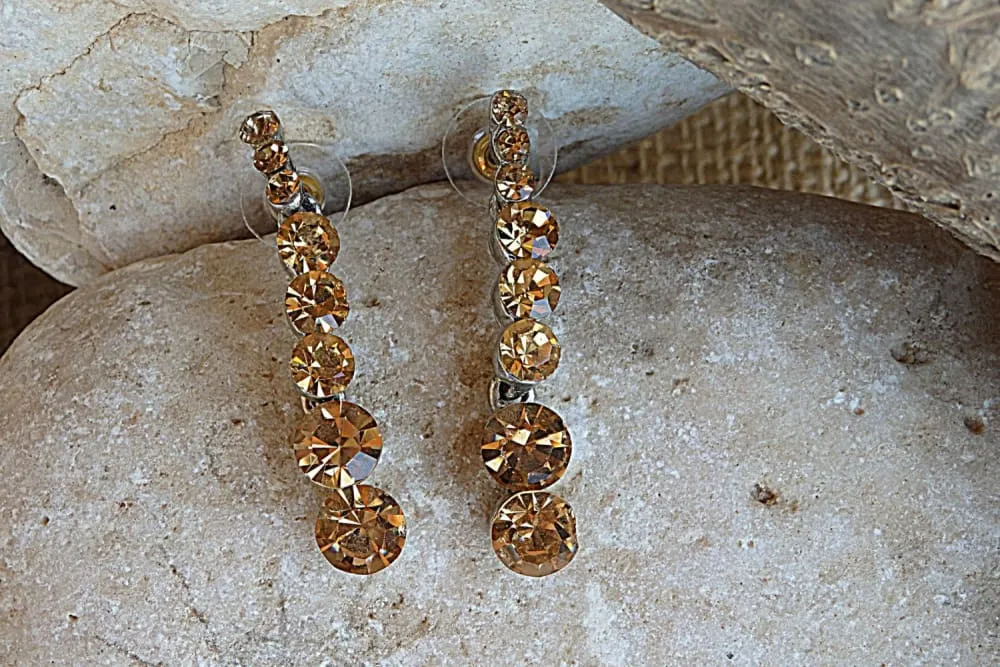 Rebeka Brown Long Earrings Studs