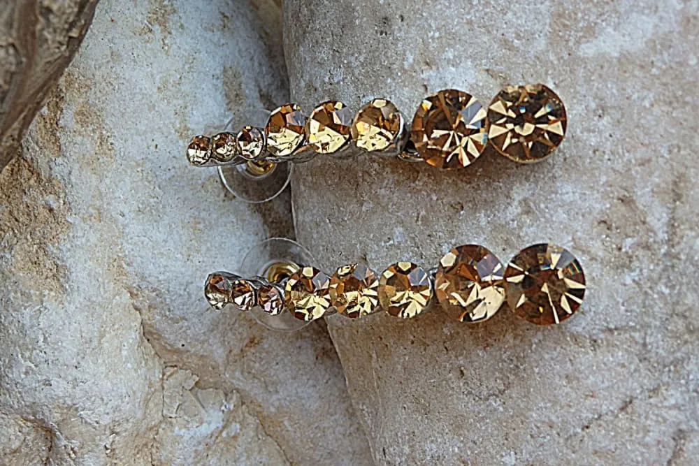 Rebeka Brown Long Earrings Studs